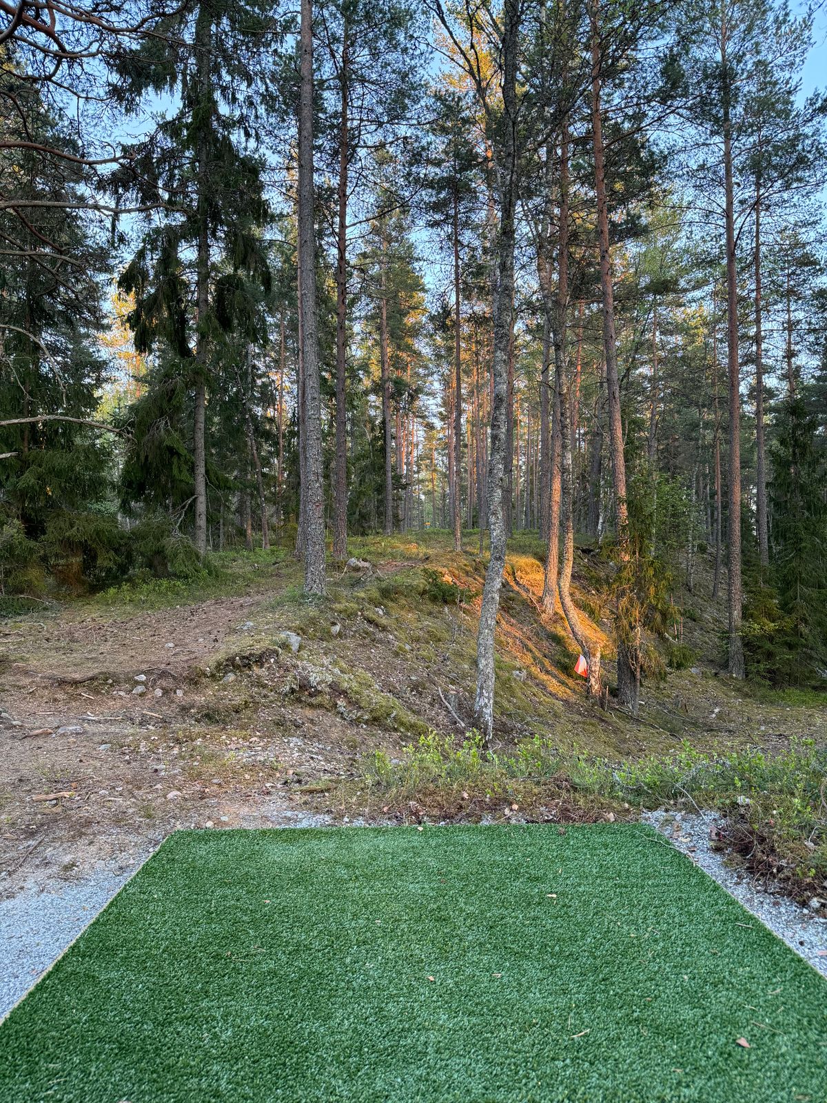 Tee hole 11