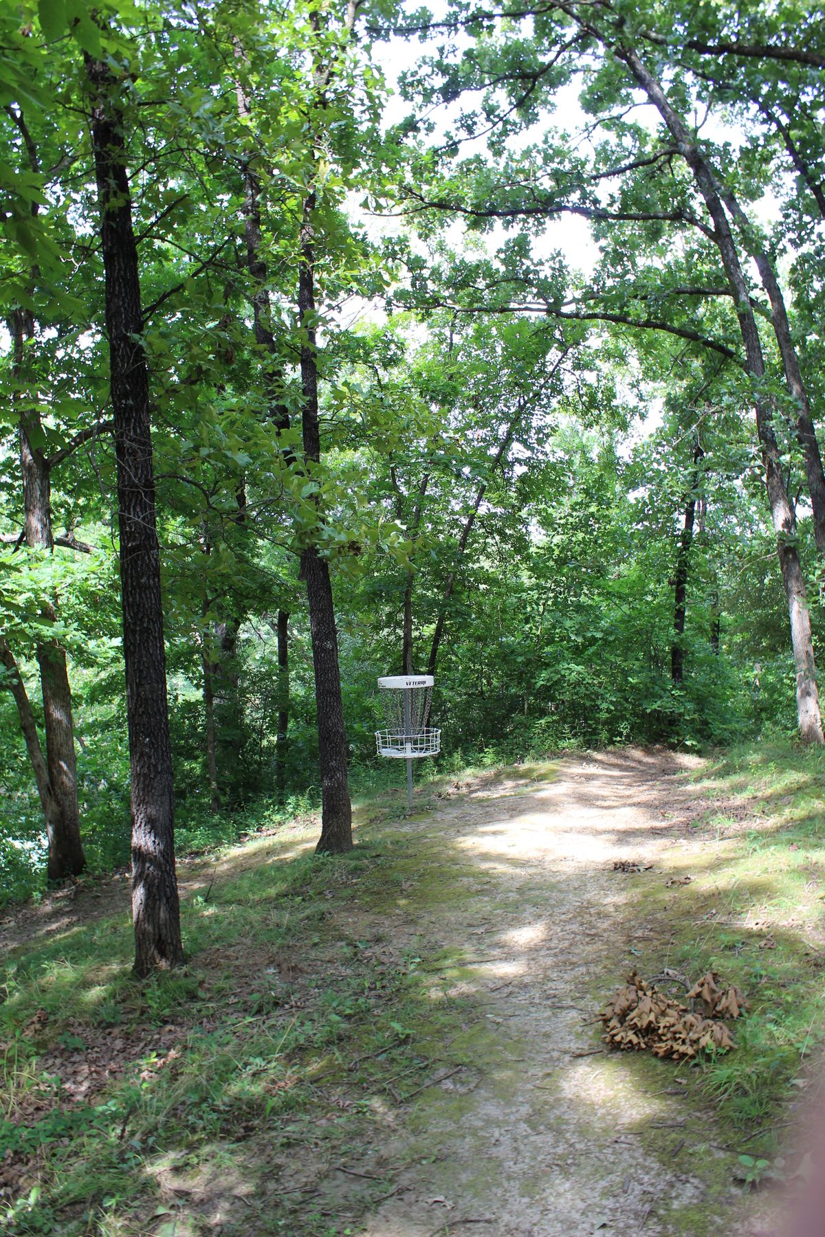 Hole 12 (Circle 1)