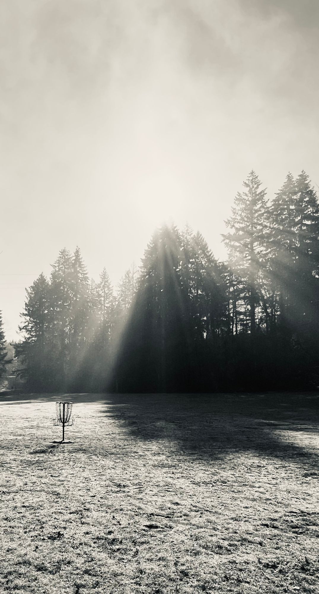Sunshine kissing the chains on hole 5