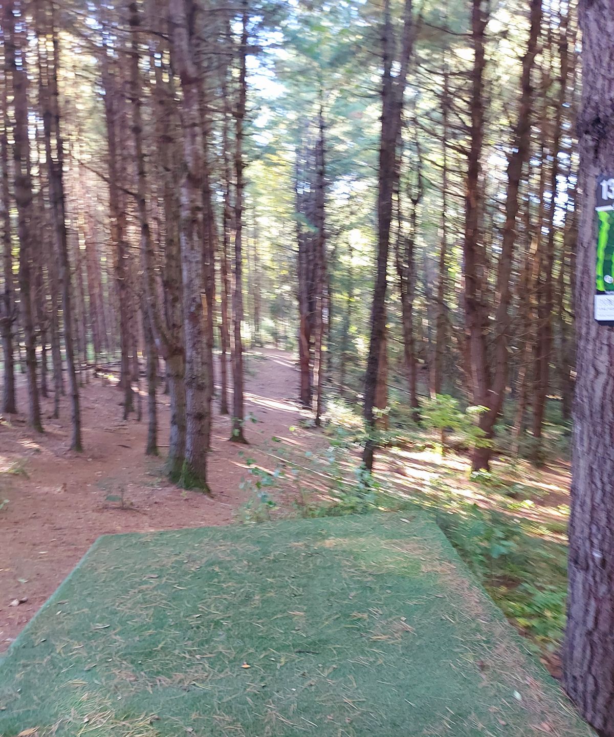 Tee pad 🍀🍀🍀🍀