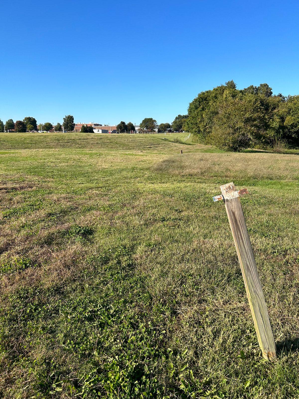Hole $15 Grass Tee Pad. 