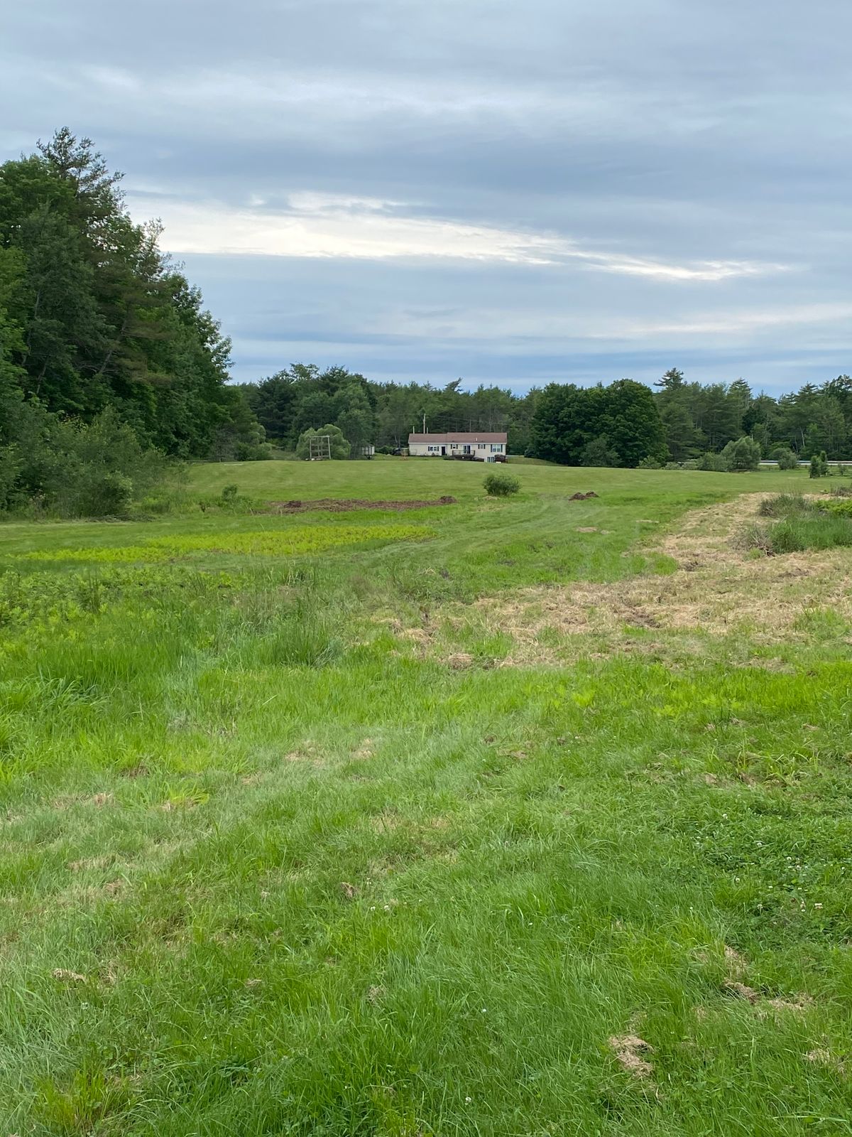 Hole14