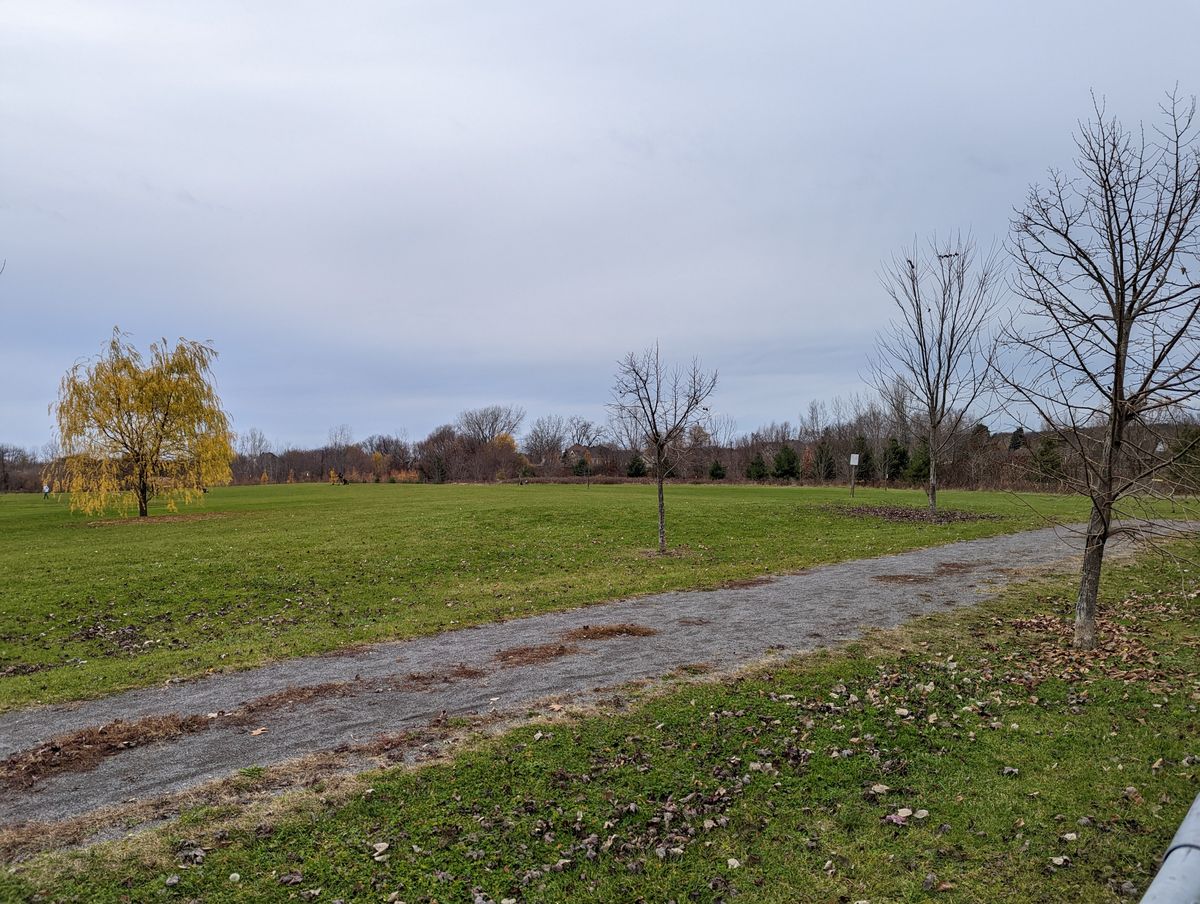 Terrain ouvert - Automne
