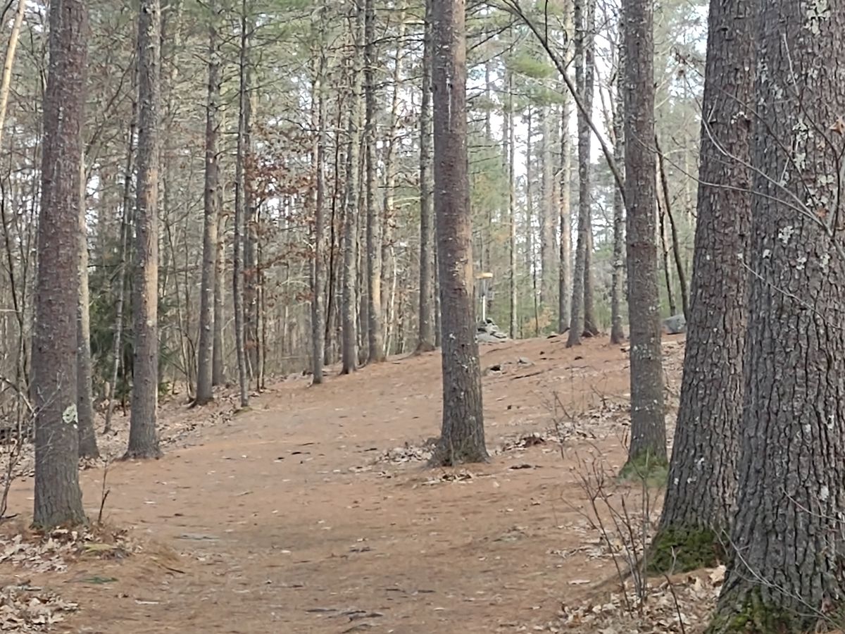 HOLE 11