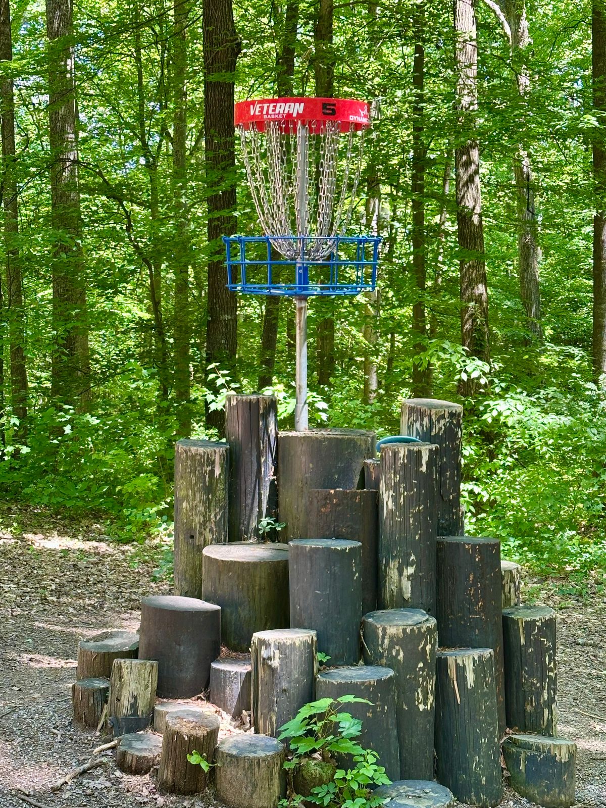 Hole 5 basket