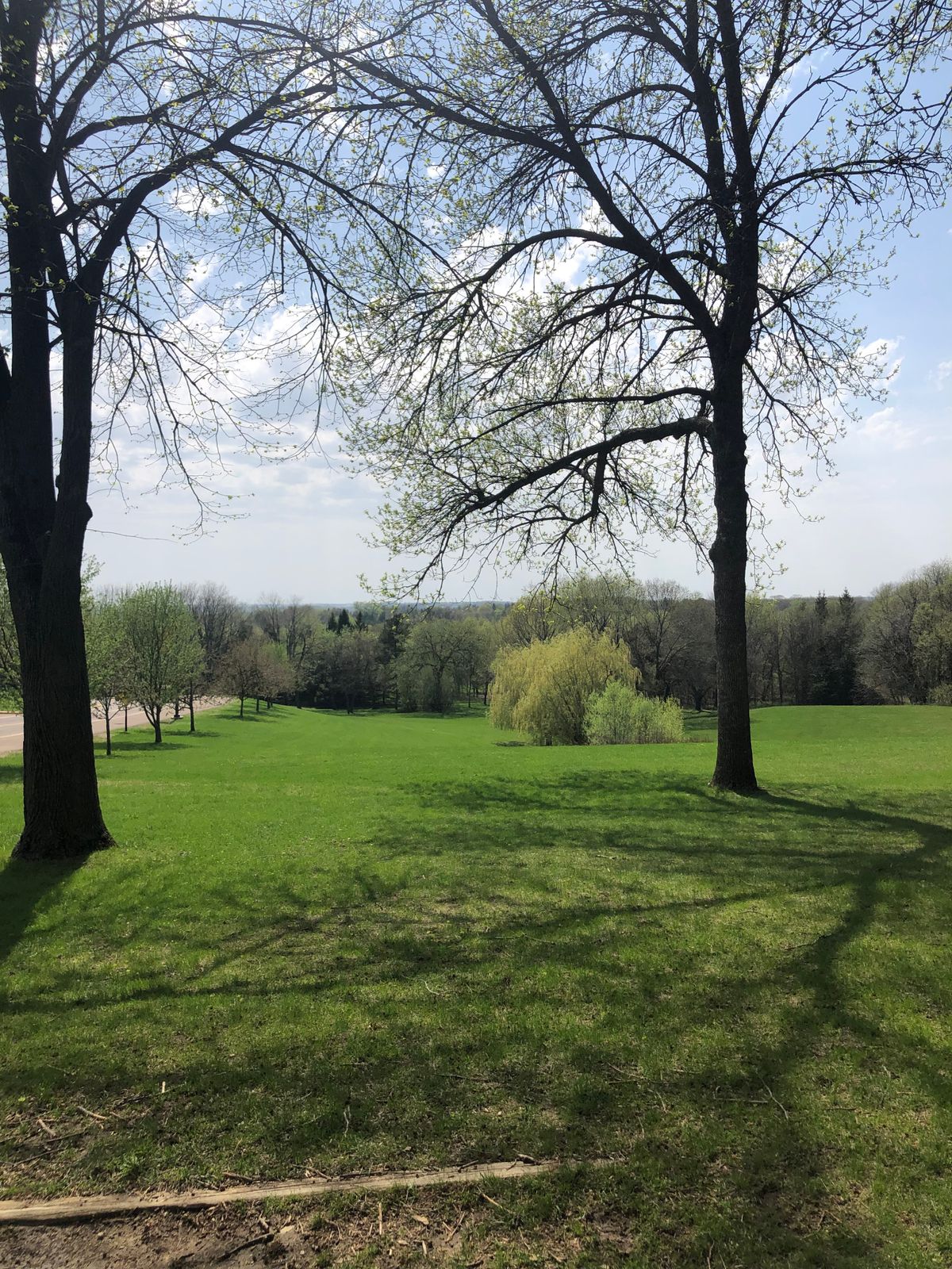 Tee 1 looking towards basket 1