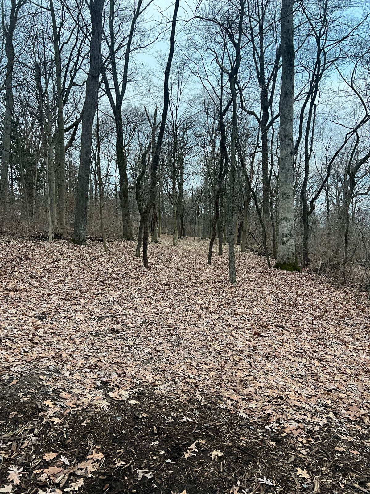 Hole 3s fairway