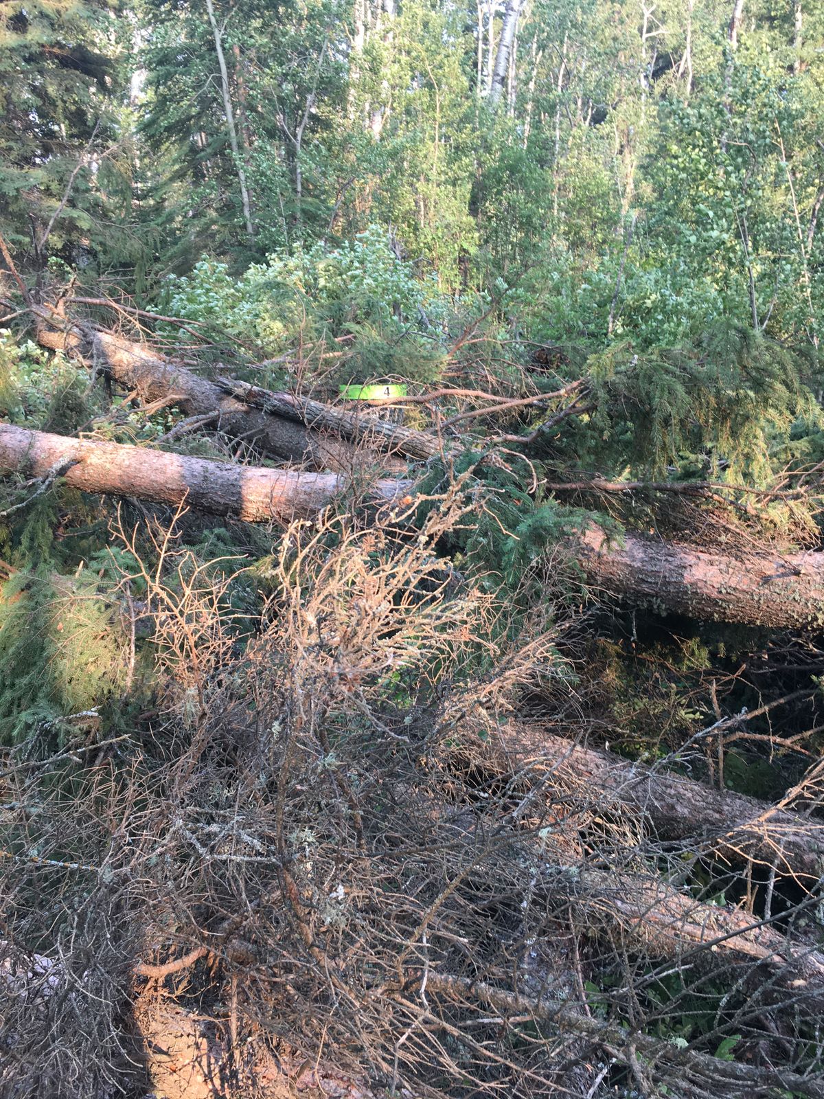 Hole 4’s situation