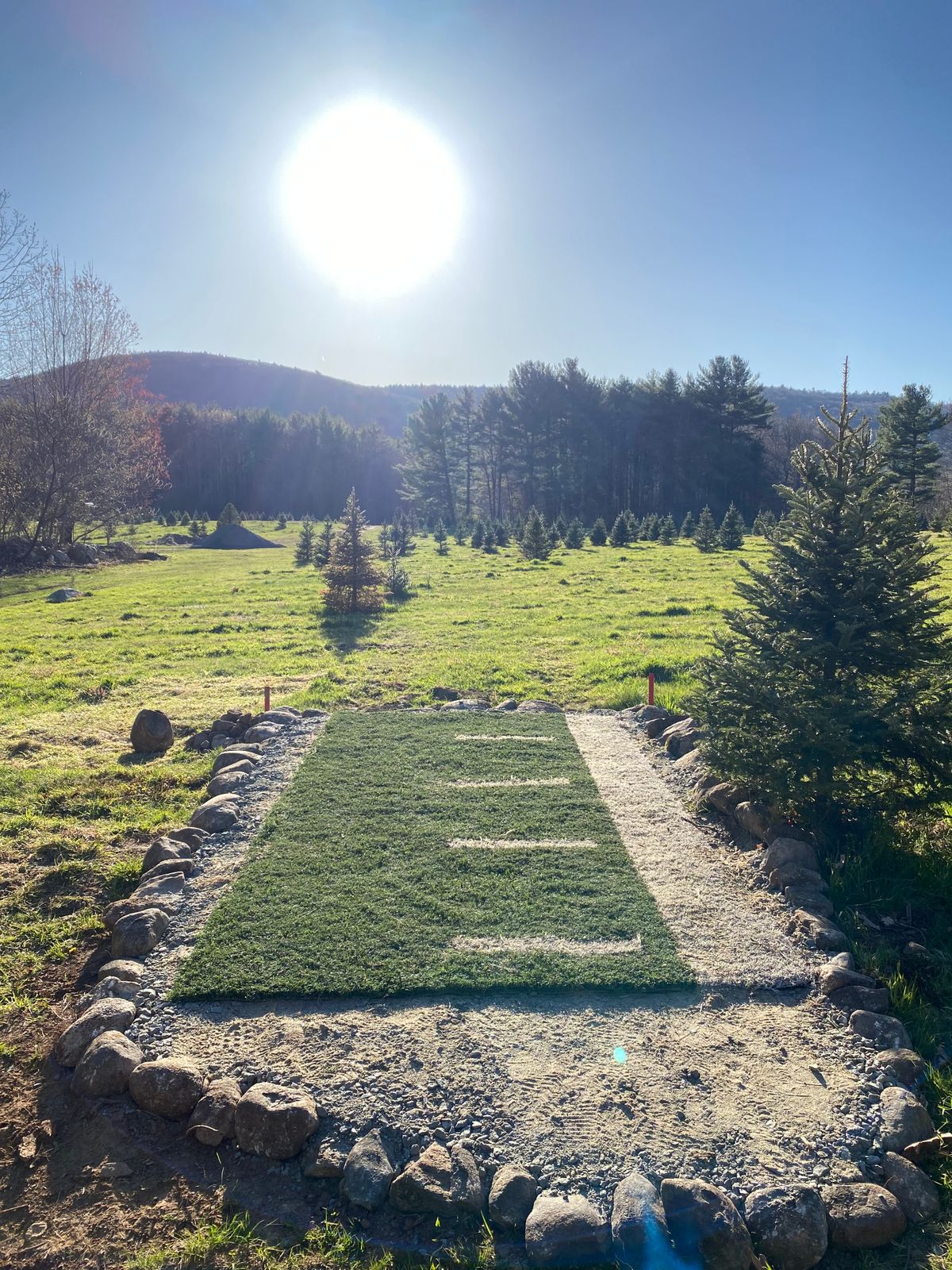 Hole 14 short tee