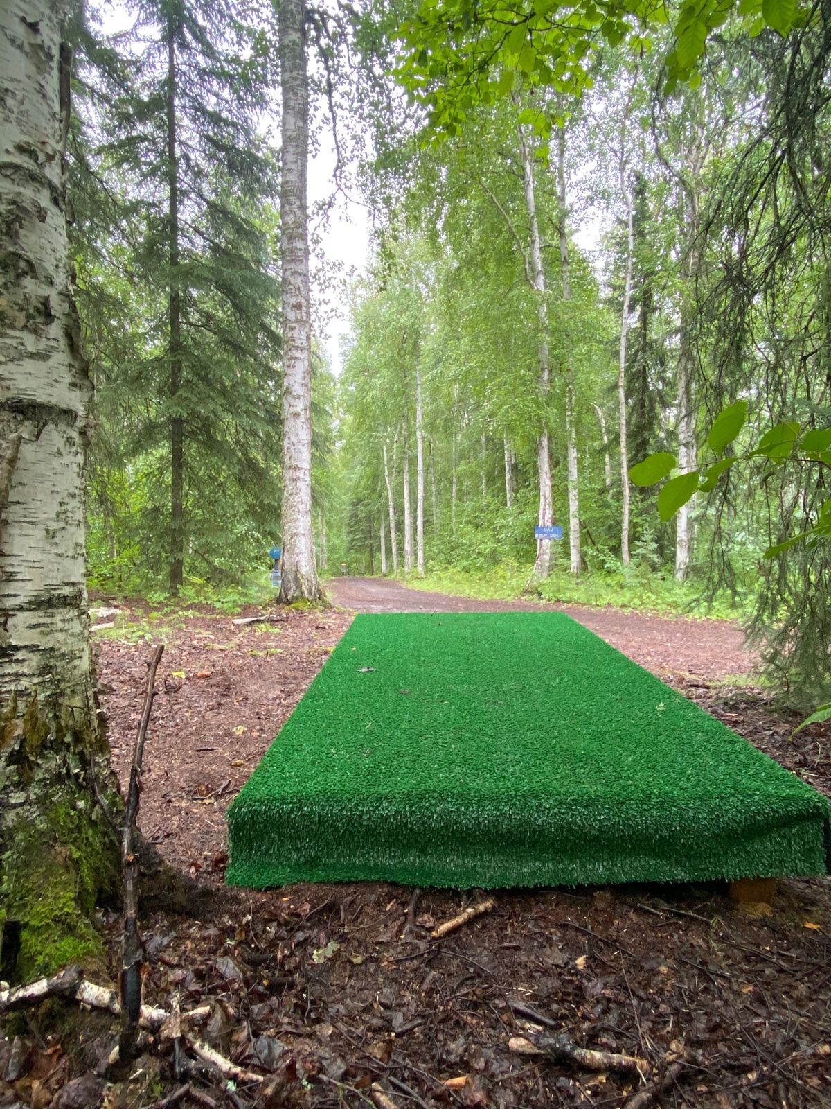 Hole 1 tee pad, basket down centerline of trail
