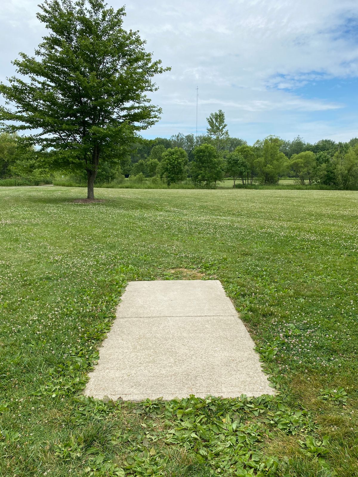 Hole 7 (Tee Box)