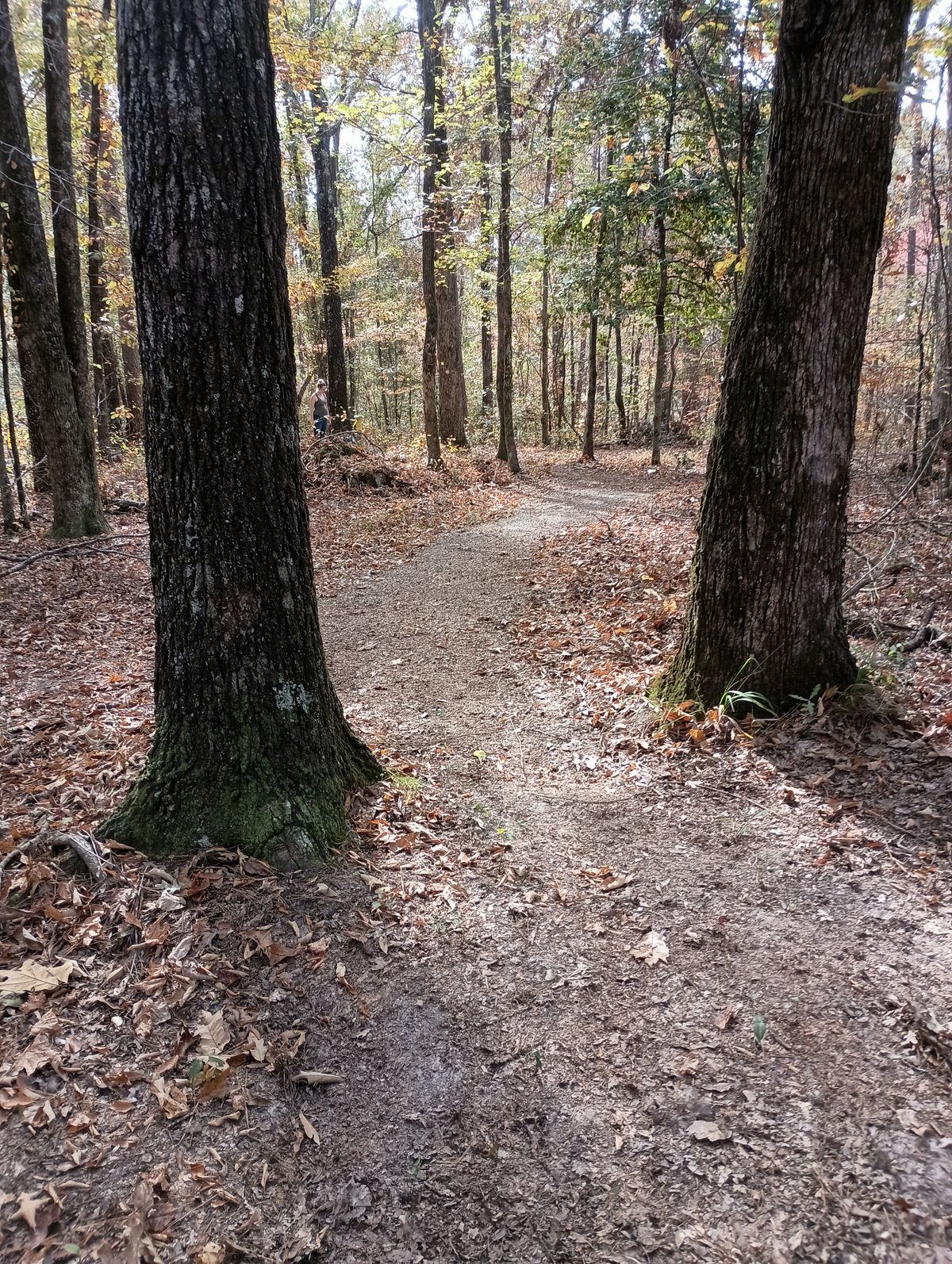 Trail from hole 3 to 4