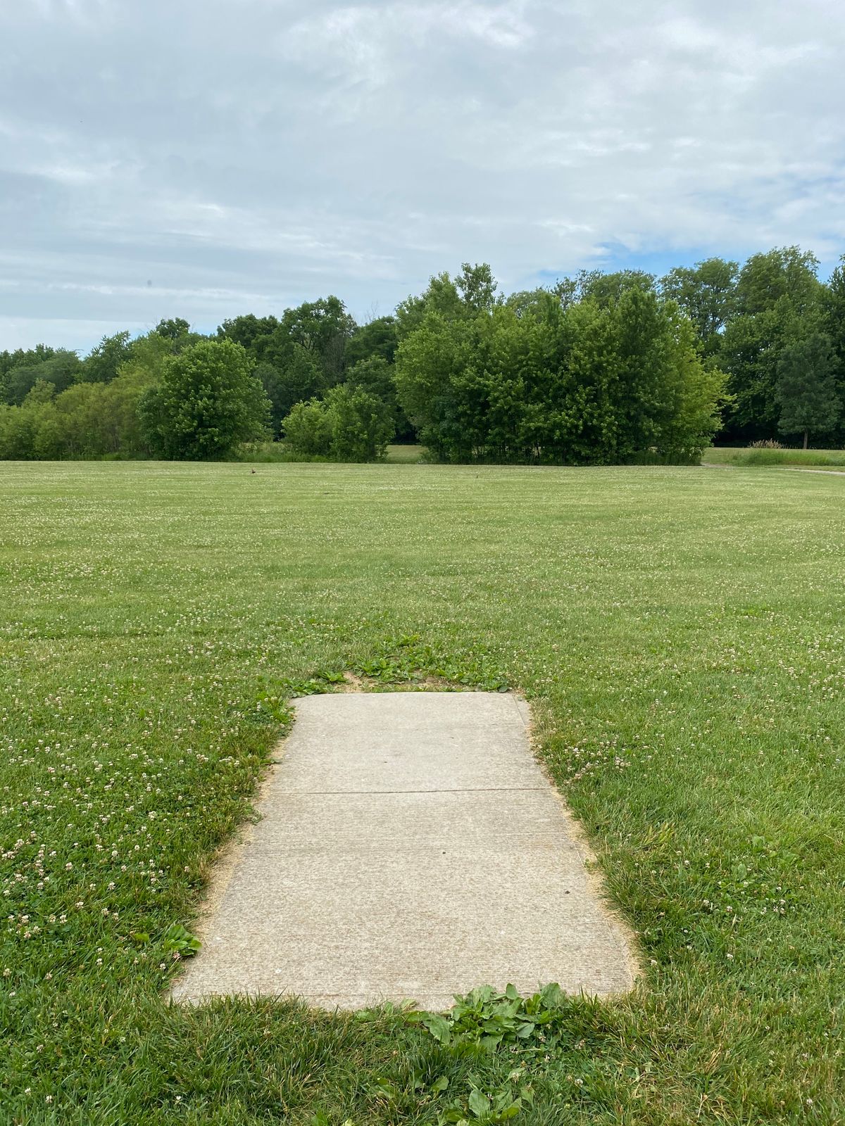 Hole 5 (Tee Box)