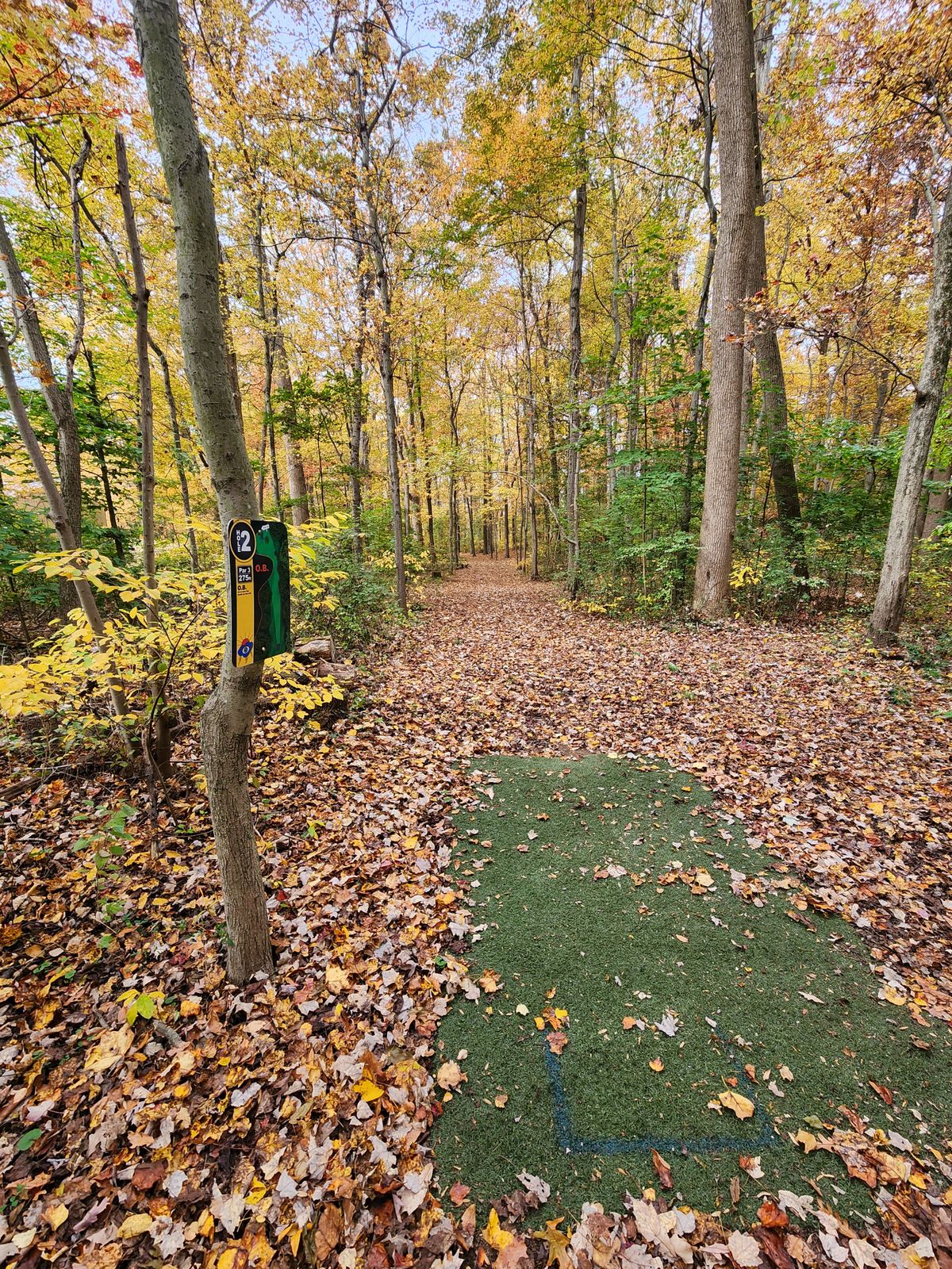 Hole 2 tee pad