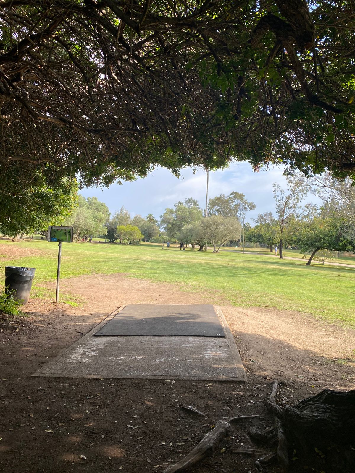 Hole 8