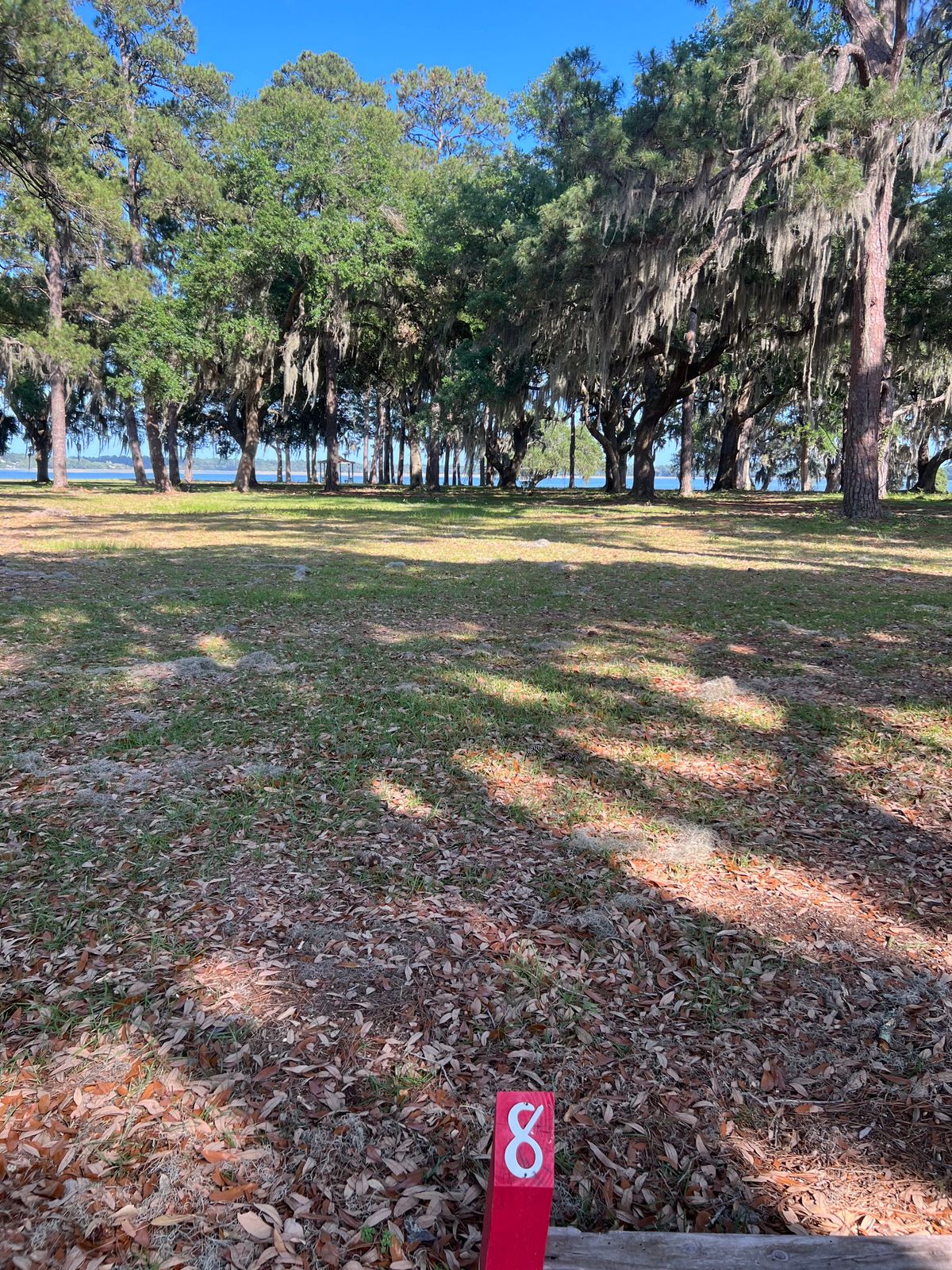 Red 8 tee, looking at basket.