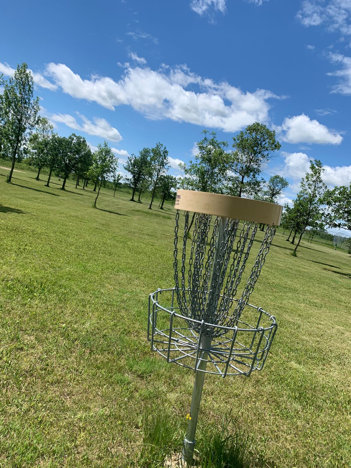 View of hole 6 looking back towards the tee pad.