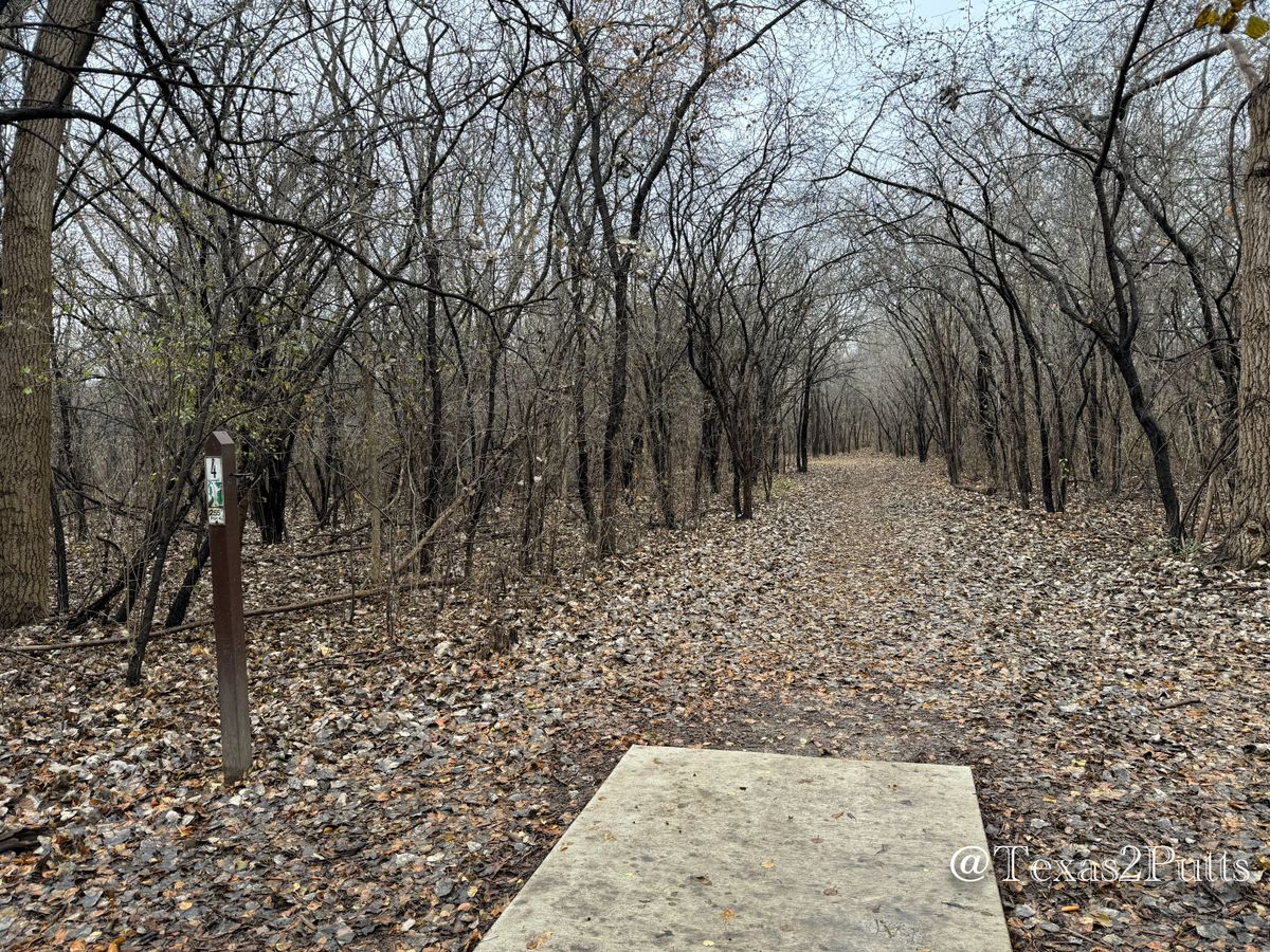 Hole 4