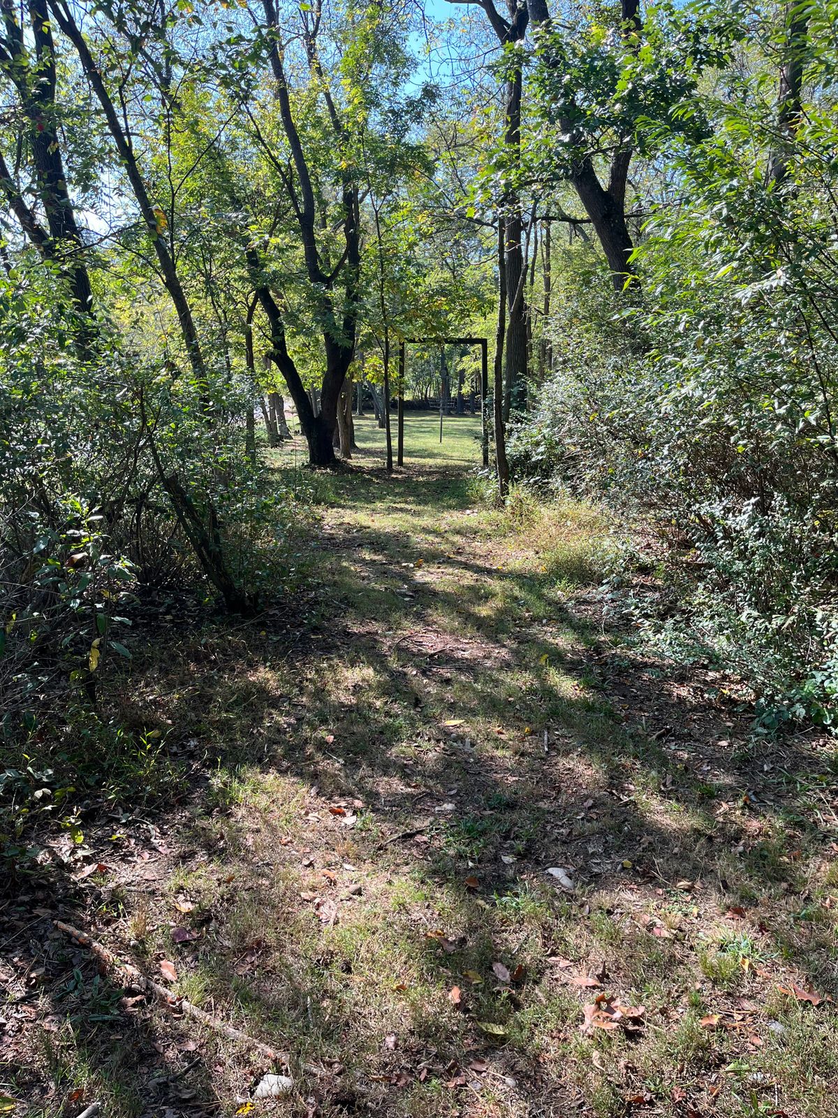 Hole 14 basket