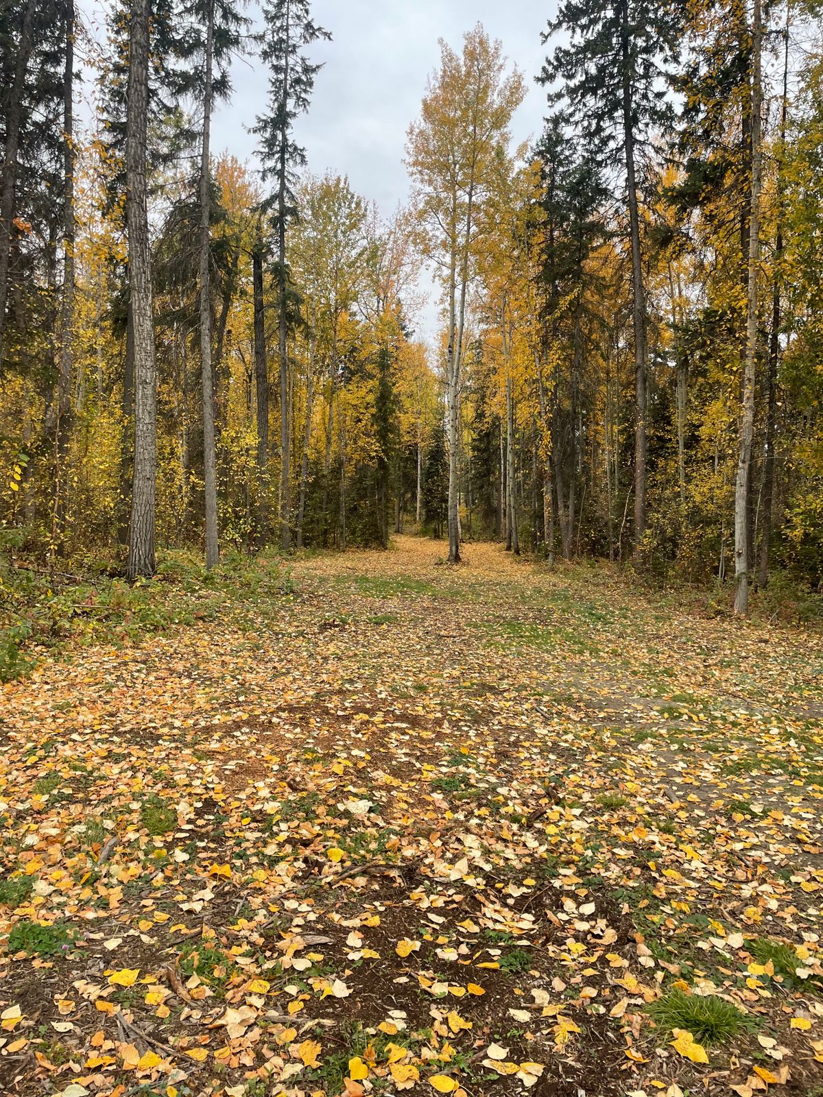 looking down the chute of hole 7