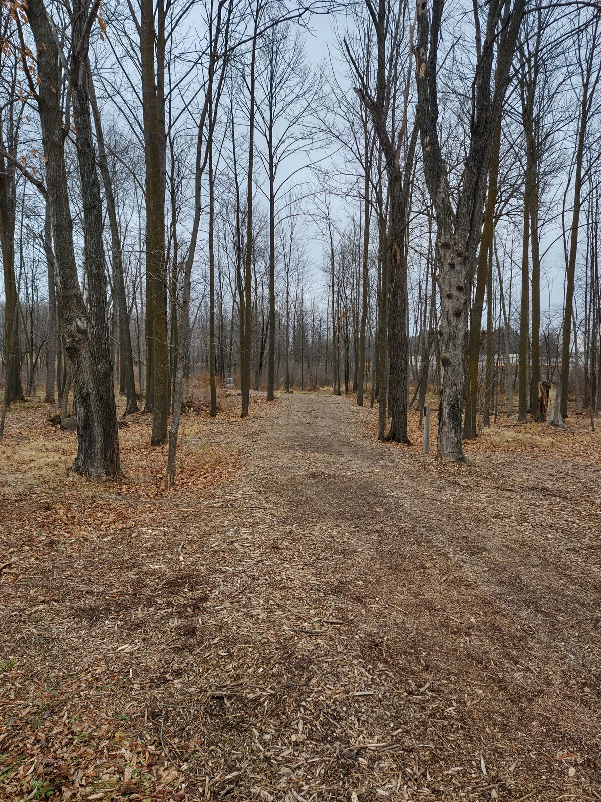 Picture of hole 1 from the tee marker