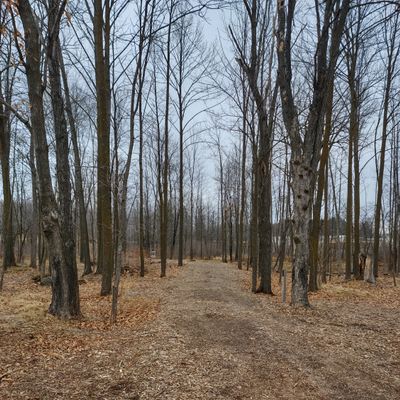 Picture of hole 1 from the tee marker