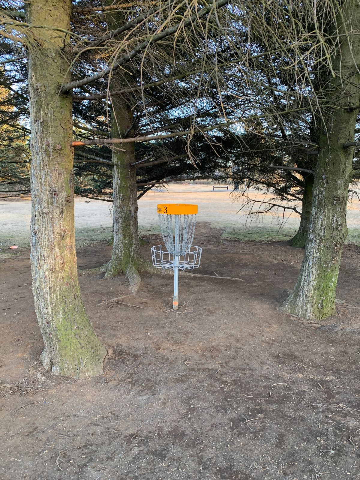 Hole 3 ..amongst the trees 🌲