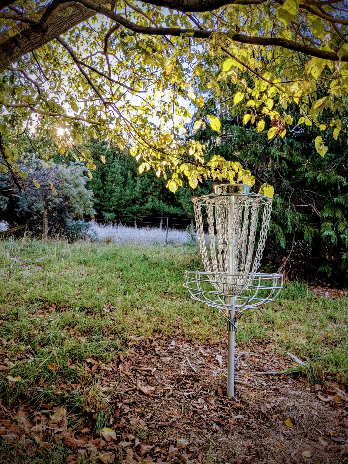 Hole 7 badket