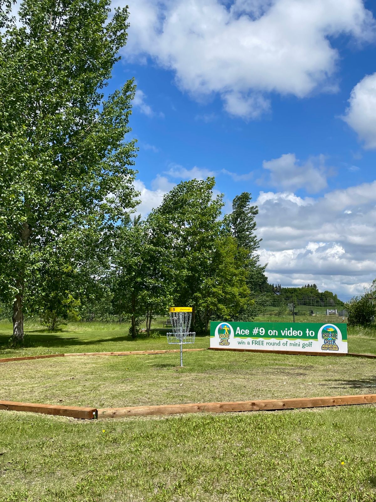 Island Green