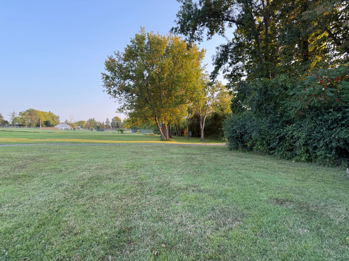 Hole 8 Fairway