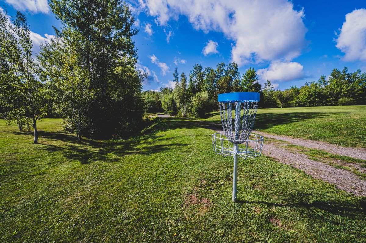 Hole 18 Basket looking towards tees. 
