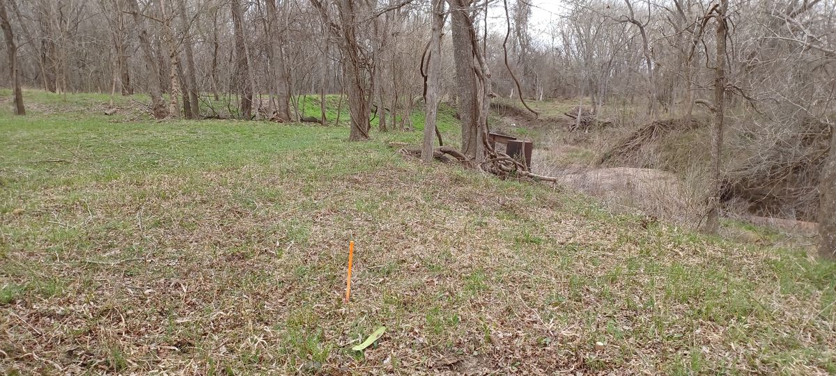 Hole 6 green