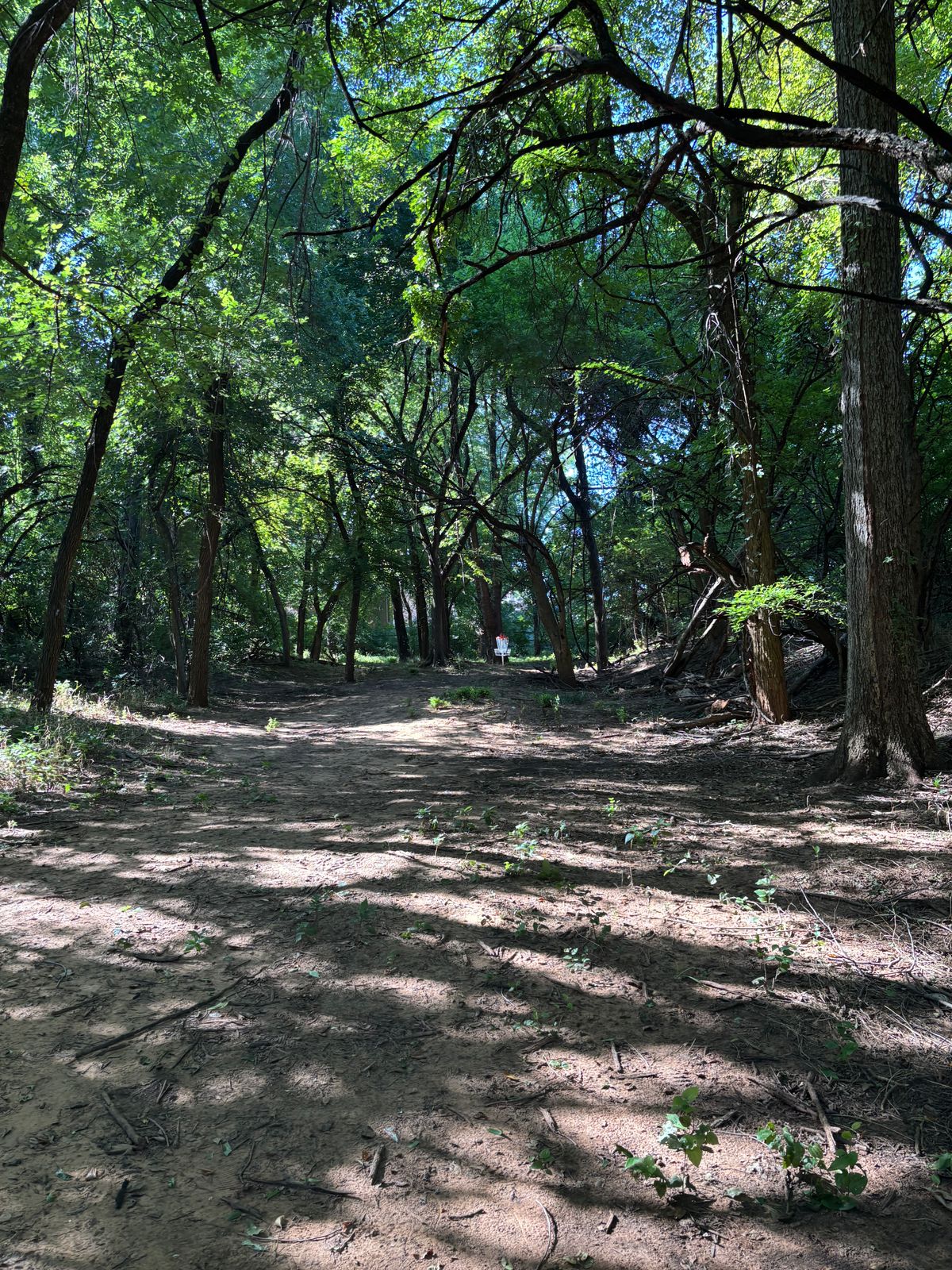 9 fairway