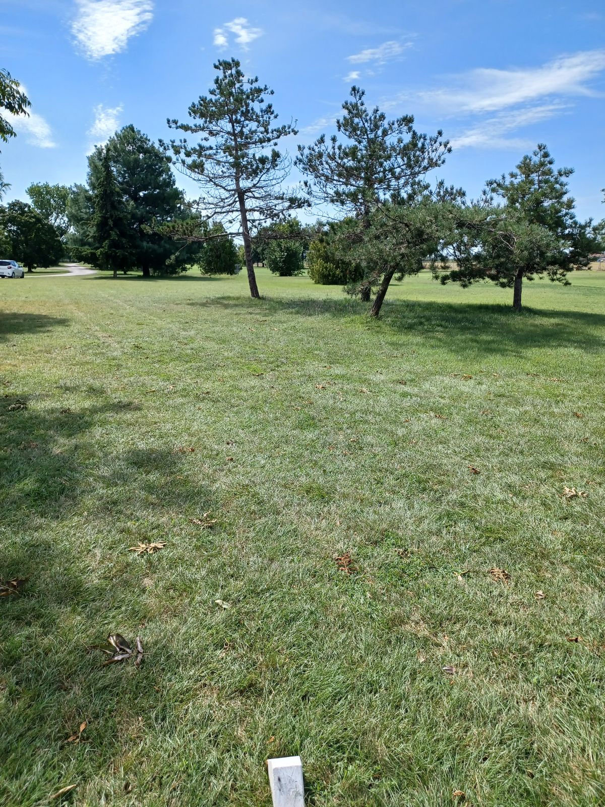 Hole 15