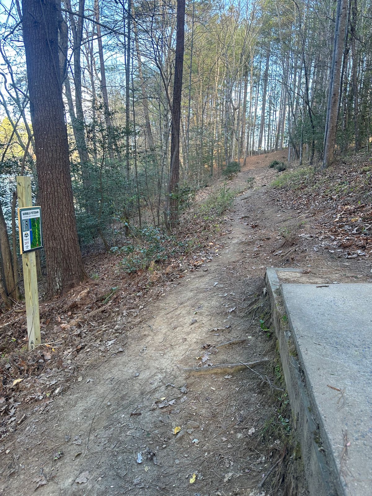 Hole 5, only tee pad