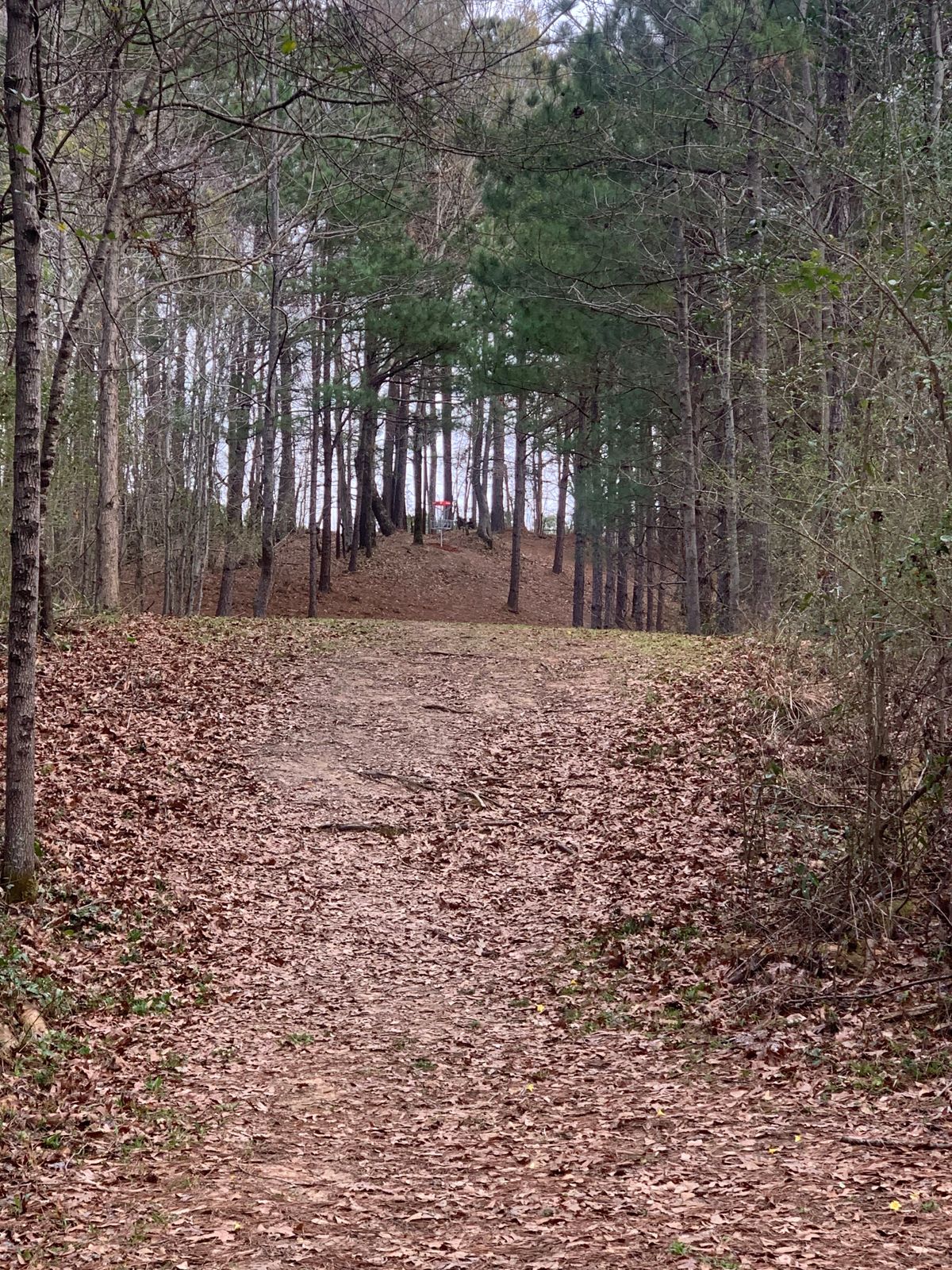 Hole 8