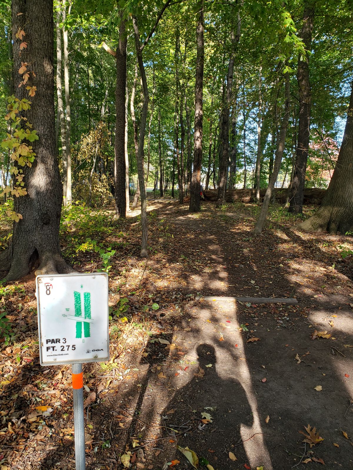 Hole 8