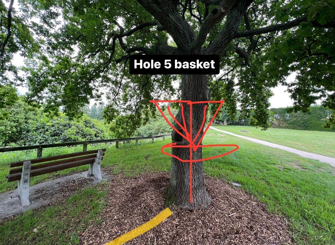 Hole 5 basket