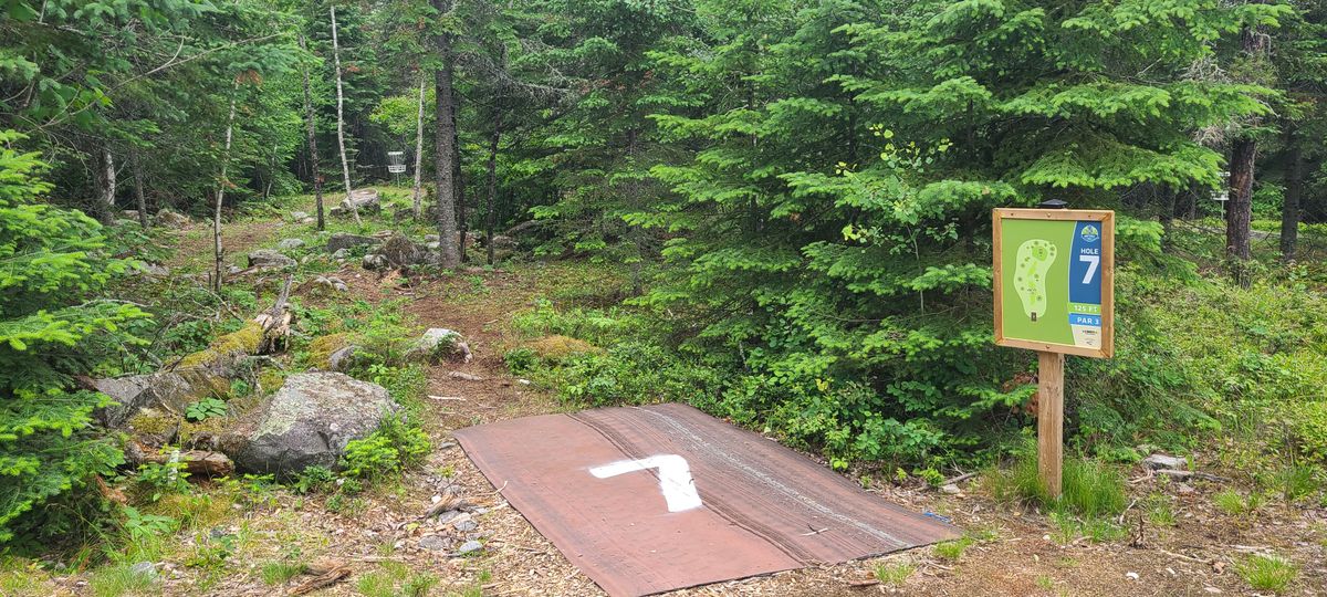 Hole 7 tee