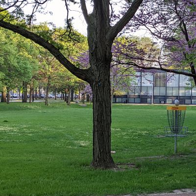 Hole 2 basket