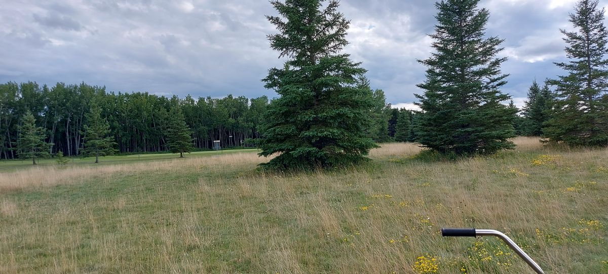 Great potential Disc Golf course needs tee signs and arrows pointing to next basket.