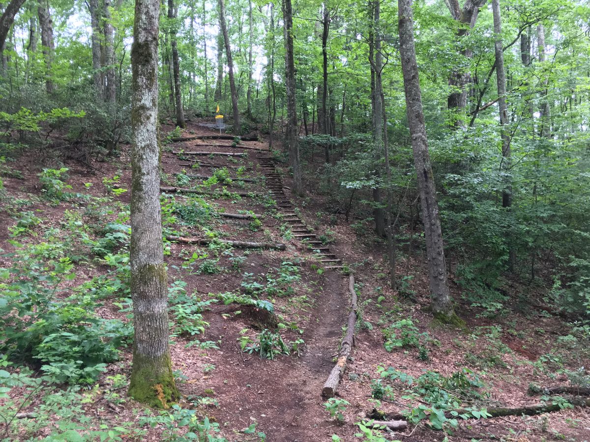Hole 9