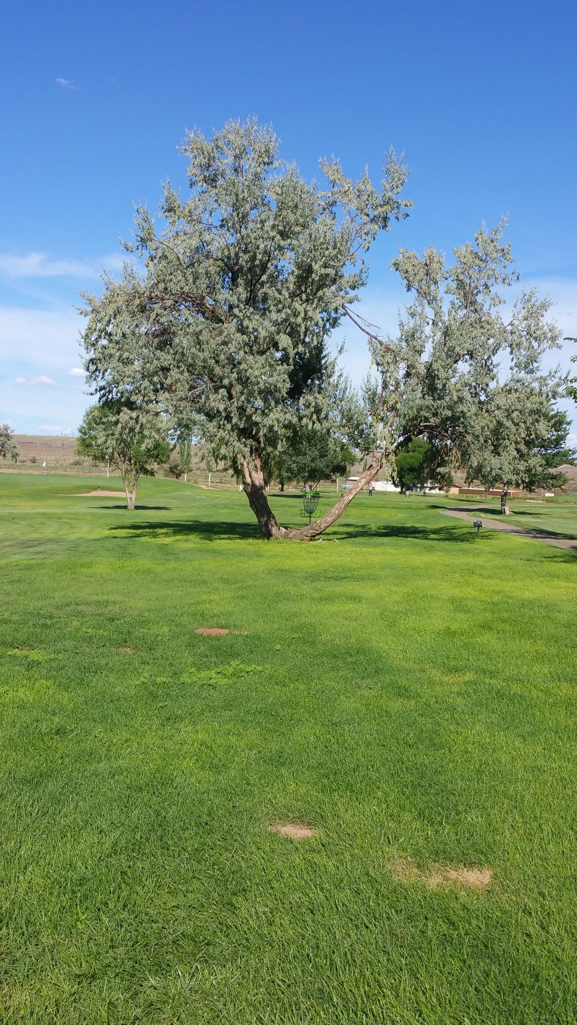 Hole 3 basket