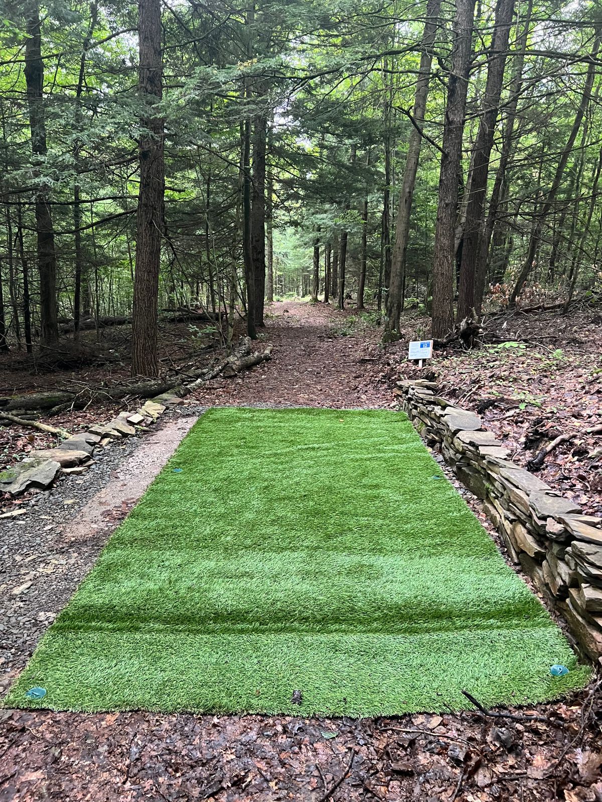 Hole 12 tee