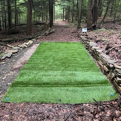 Hole 12 tee