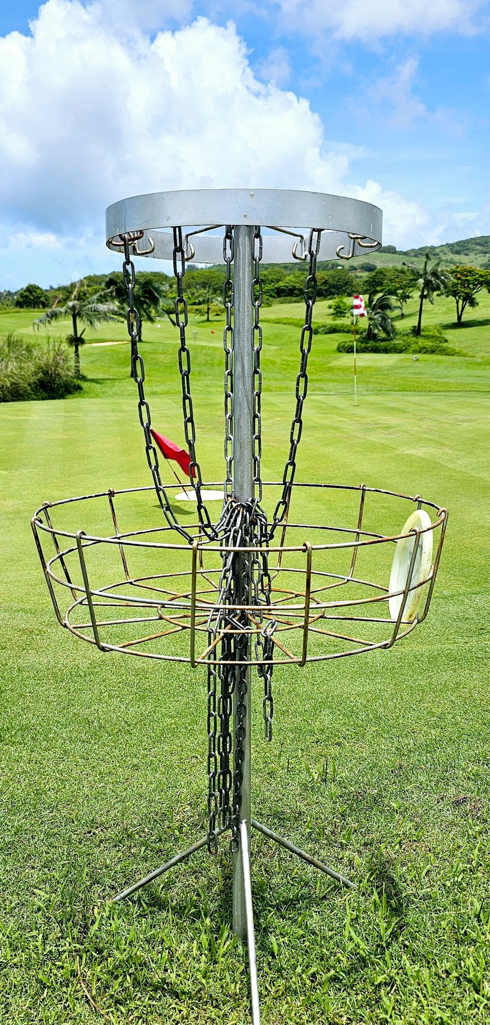 Considering the comparably high price to play, better maintained baskets were expected. Hopefully the money gets reinvested in the course.