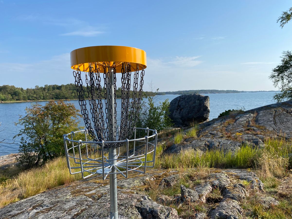 A basket with a view