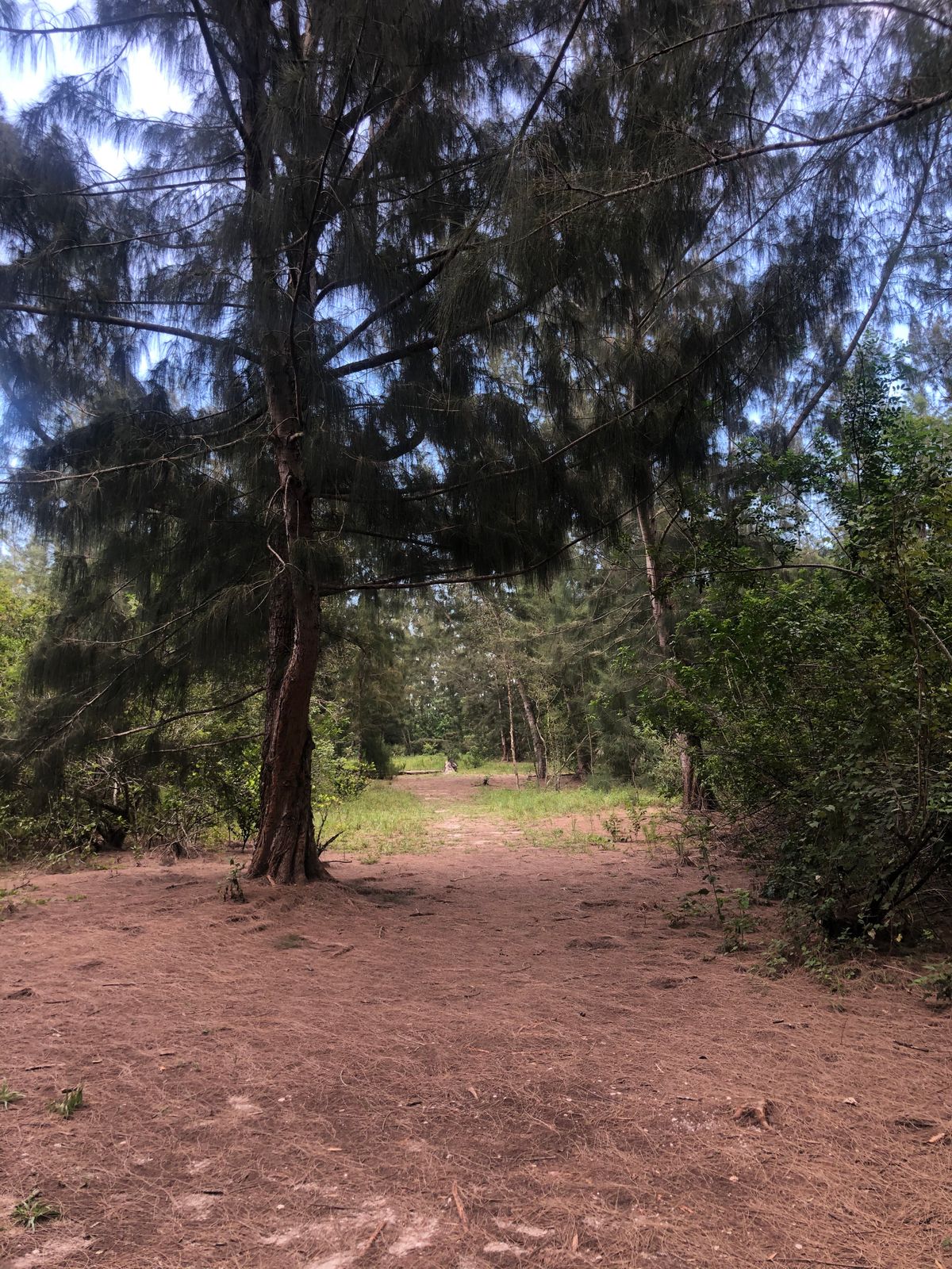 Hole 5