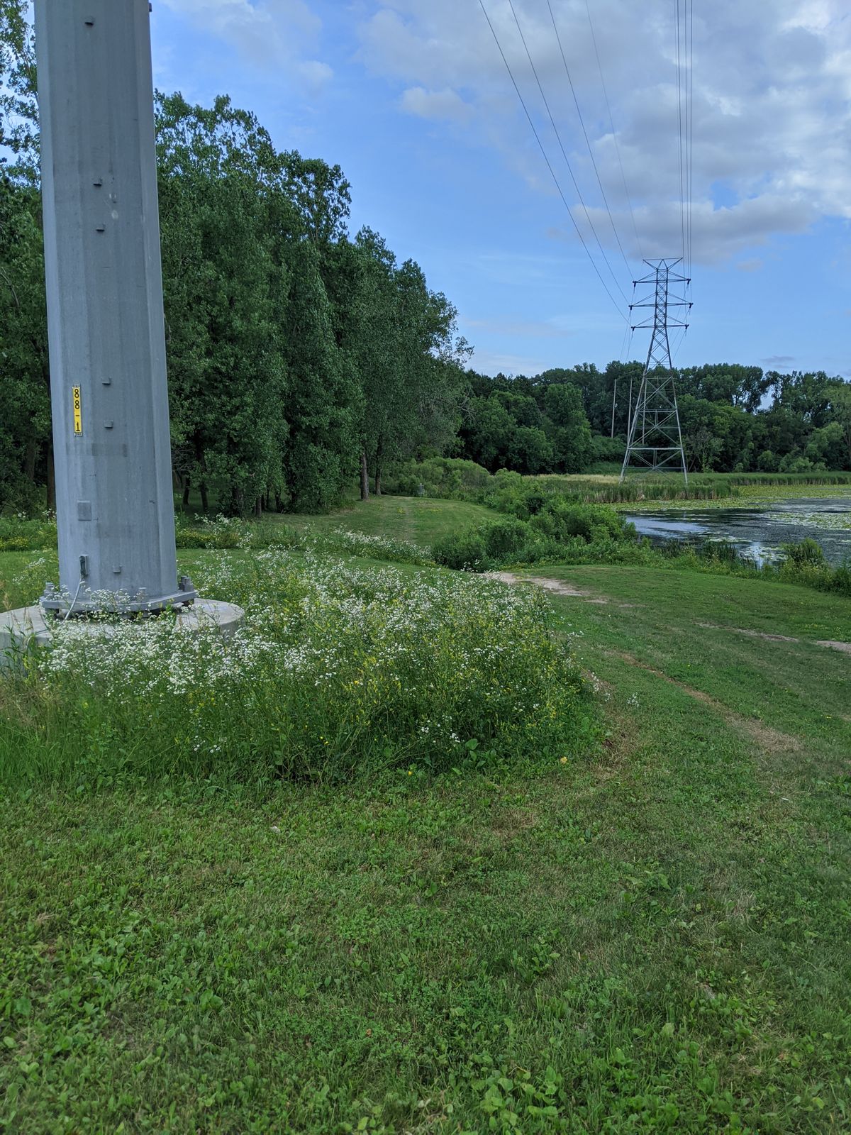 Hole 12