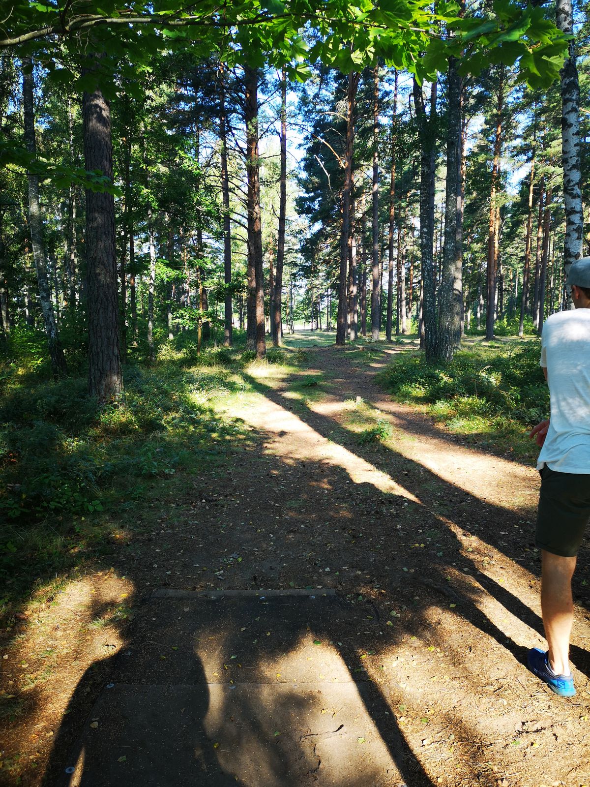 Tee 7